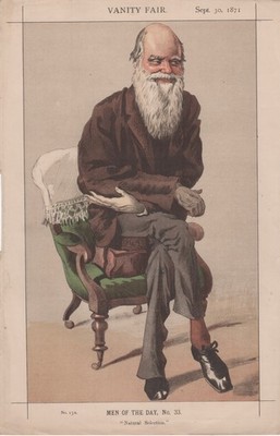 Antique Vanity Fair Dr's/Scientists lithograph of Charles Darwin, 1871.