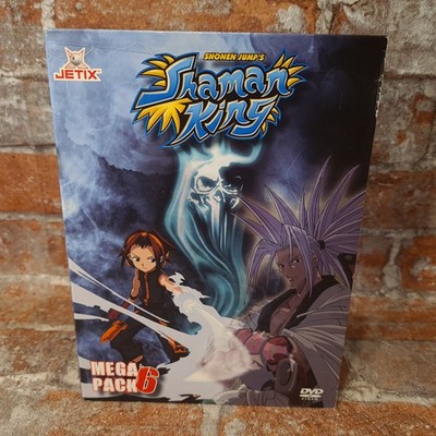 Shaman King - Mega Pack 6 (2 DVDs, DVD 14 und 15)
