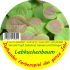 Bild 2 von 3
