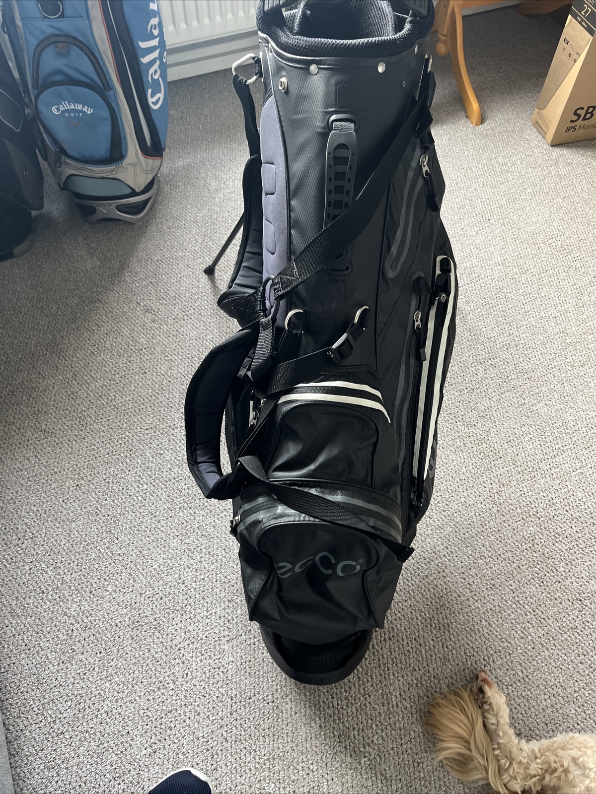 Ecco Golf Standbag 6 Way Dividers eBay
