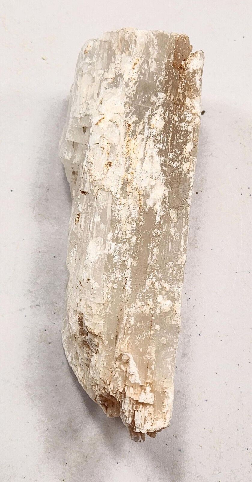 Selenite Large Specimen or Cab Cutting Rough  Sel3