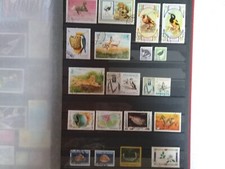 L68 - lot vrac 19 Timbres oblitérés Moyen Orient Faune Flore