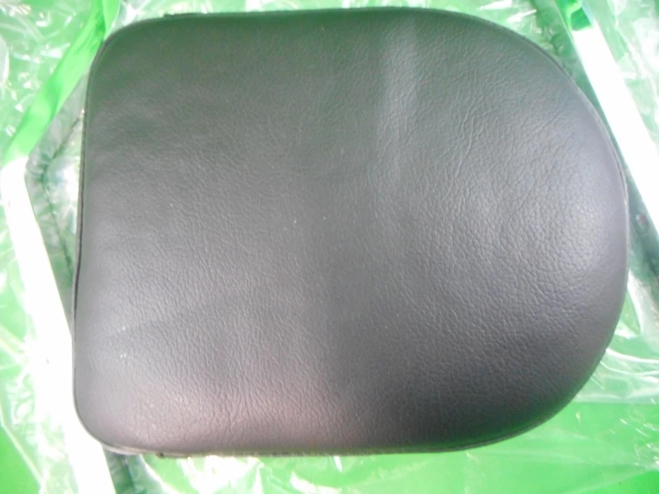 Barra Sissy M/C Enterprises Honda Shadow VLX600 con almohadilla con tachuelas MC29012 290-12 Foto 3 de 4