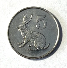 1990 Zimbabwe 5 cents Coin Hare Rabbit Bunny Animal Wildlife