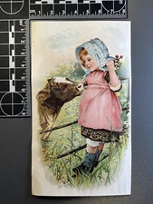 Antique Victorian Trade Card Advertising Ephemera - Hints for Housekeepers 