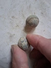 2 belted bullets for 2 groove Brunswick or Jacobs rifle  Civil War Bullet Lot