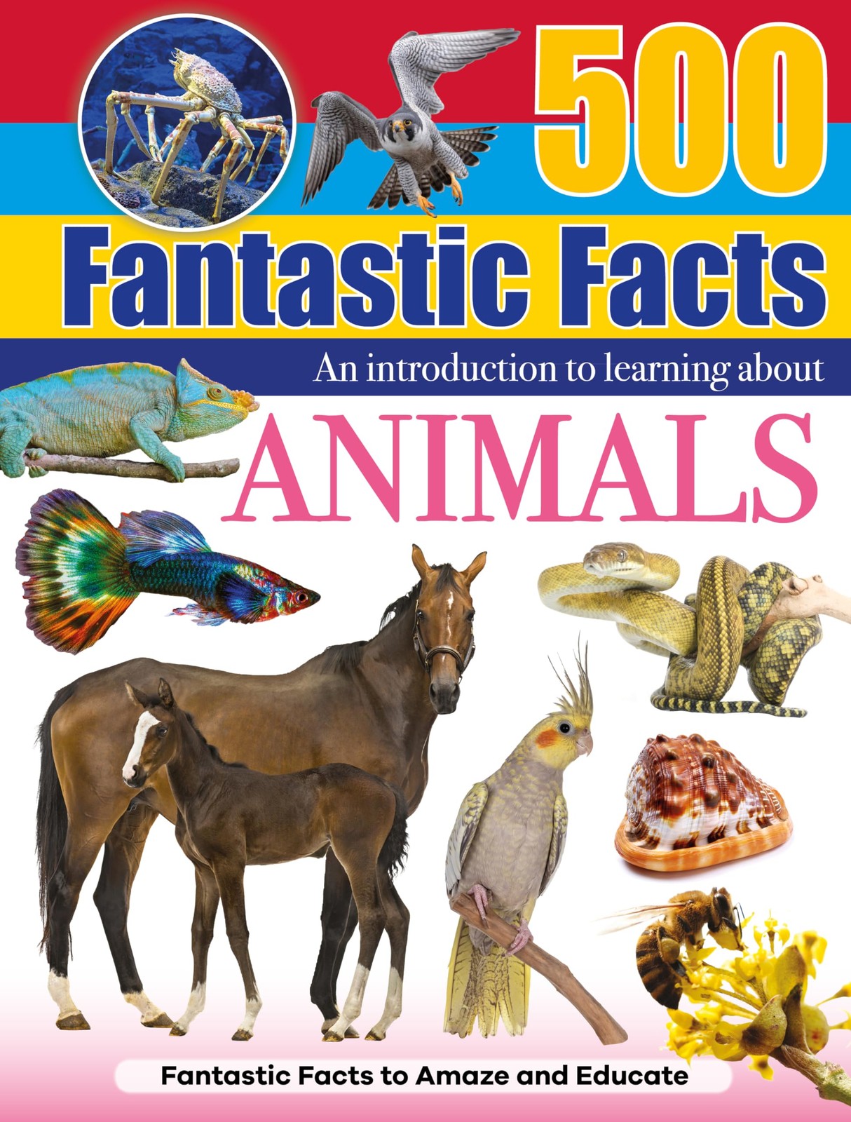 Animals (Hardback Book) - Image 3