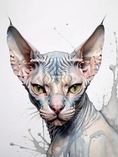 Expressive Animal Art Expressive Sphynx Cat Framed Poster Wall Decor Picture