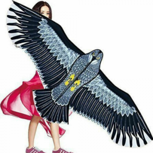 60 Zoll riesige Adlerdrachen einzeilige Schnur einfach zu fliegen für Kinder und Erwachsene - Bild 1 von 4