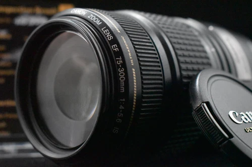 [1 Yr Warranty] Canon EF 75-300mm f/4-5.6 IS USM Telephoto Zoom Lens 6828
