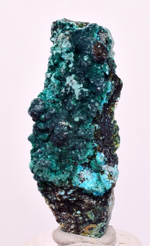 5 cm QUARZ CHRYSOKOLL BOTRYOIDALE TENTADORA MINE PERU MINERALPROBE CB236 5 cm QUARZ CHRYSOKOLL BOTRYOIDALE TENTADORA MINE PERU MINERALPROBE CB236