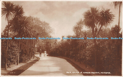R306926 Penzance Palm Avenue in Morrab Gardens Valentine X L Serie