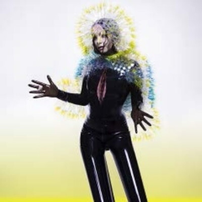Bjork/Vulnicura TPLP1231LPXJ New LP | eBay