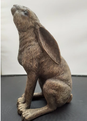 Reflections Bronzed moon gazing Hare  medium Leonardo Collection lp29889 Bnib