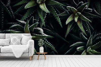 3D Cactus Plant Close-up Wall Murals Wallpaper Murals Wall Sticker