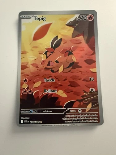 Tepig 096/086 Sv: pokèmon White Flare Holo Illustration Rare NM
