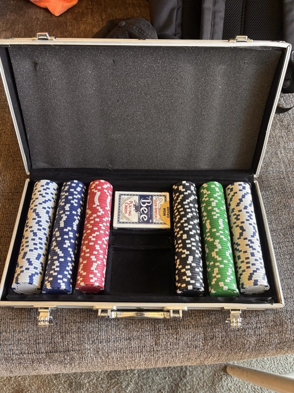 Poker Chip Set w/ Aluminum Carry Case, Bee Playing Cards Deck, Casino Theme