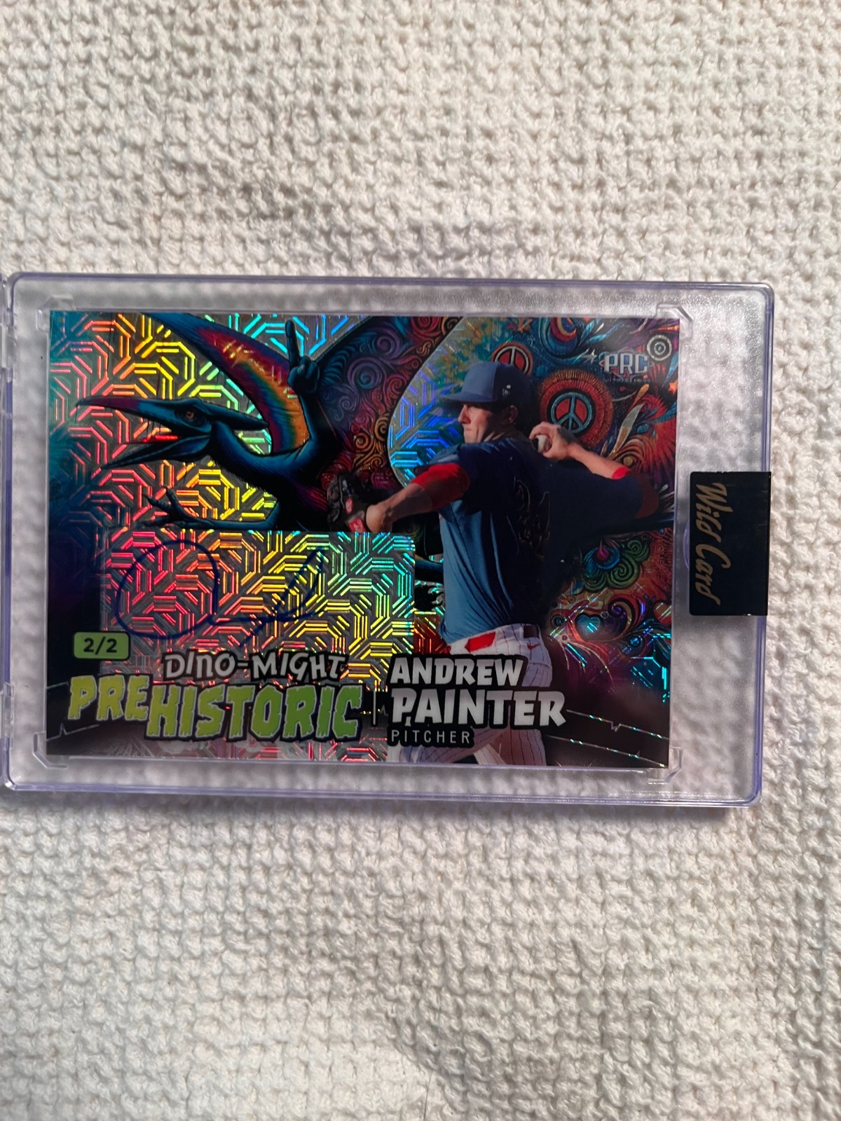 2024 Wild Card, Pre Historic, ANDREW PAINTER, RC  2 of 2