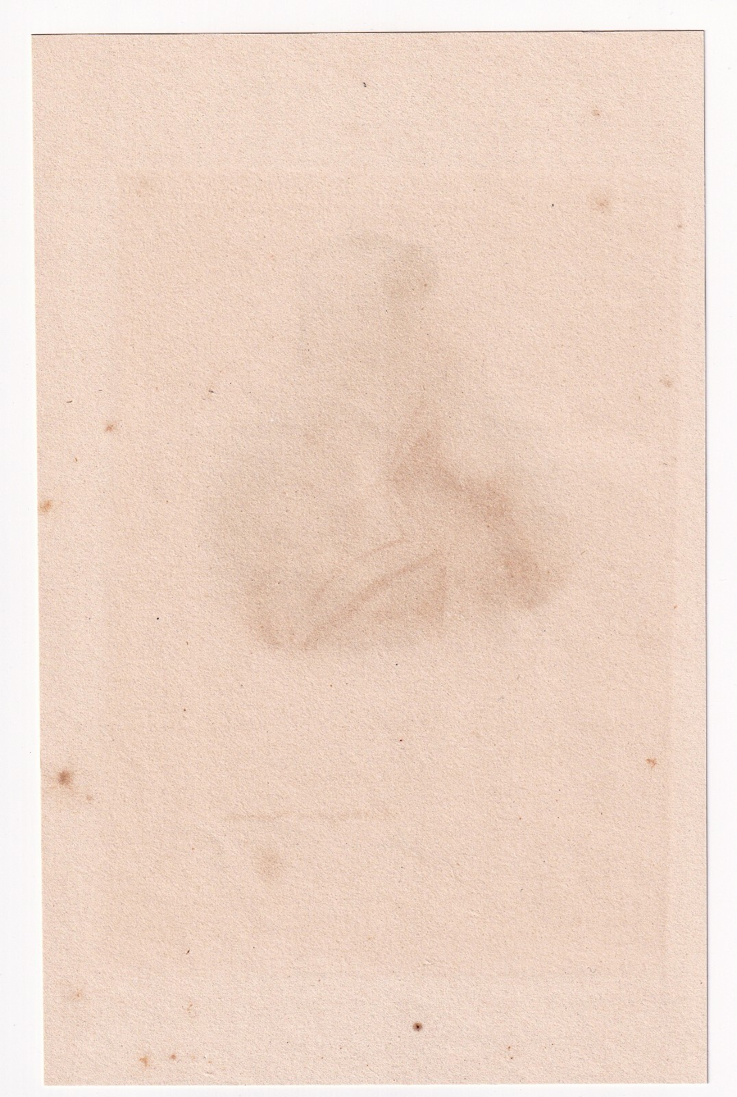 Picture 7 of 7