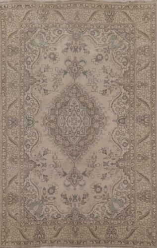 Muted Vintage Distressed Traditional Area Rug Wool Hand-knotted 6x9