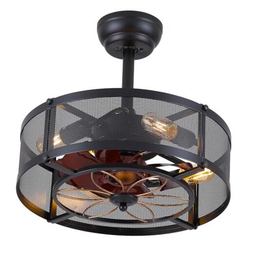 Modern Black Caged Ceiling Fan with Remote Control and Built-in Light