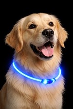 LED Dog Collar, Rechargeable Light Up Dog Collars,IP67 Waterproof Dog ...