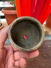 Foto 10 di 11
