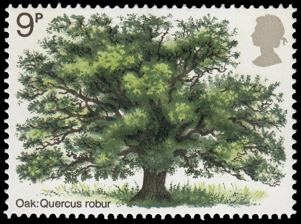 Grande Bretagne 678 1972 Flore Arbres Britannique MNH - Photo 1/1