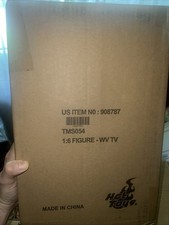 The Vision (Wanda Vision) Hot Toys Figure TMS054 *Unopened in Original Shipper*