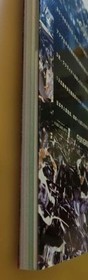 Gangliffon Perfect Guide Sega Saturn Strategy Book Good