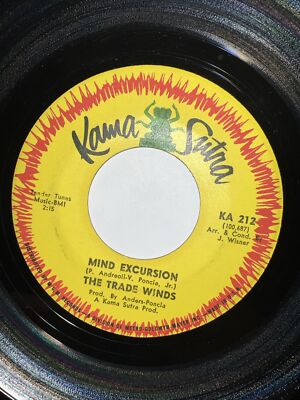 THE TRADE WINDS 45 Little Susan's Dream / Mind Excursion