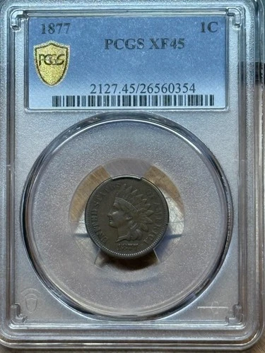 🔥Key Date 1877 Indian Hean Cent PCGS XF45 Gold Shield