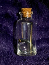 Wet Specimen Tiny Salamander Tail Oddities Curiosities Taxidermy Wet Specimen 