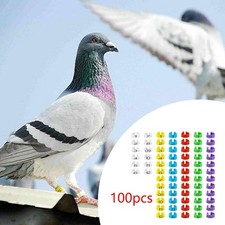 100 Pezzi di Fasce per Zampe di Uccelli, Accessori per Quaglie, Anatre Mandarine