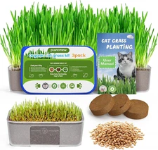 Cat Grass Kit for Indoor Cats 3 Pack, Organic Wheat Grass Seeds Grows in 7 Days