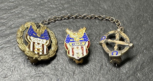 TWO VINTAGE DOA DAUGHTERS OF AMERICA GOLDEN PINS M706