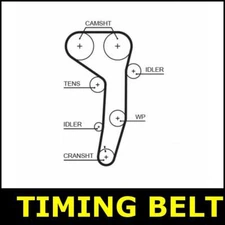 Timing Belt Cam Fits Seat TOLEDO Opt2/2 5P 2.0 BMN 5P2 SX7065