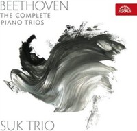 Suk Trio - Beethoven The Complete Piano - Cd - G4Z