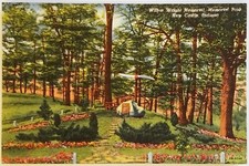 Wilbur Wright Memorial Park New Castle Indiana Postcard