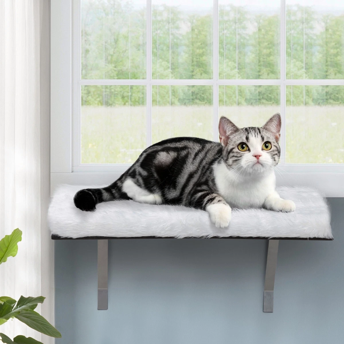 Window sill cat store bed