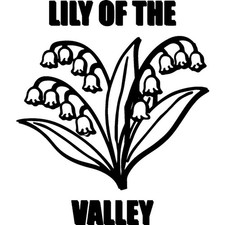 'Lily of the Valley Flower' Un…