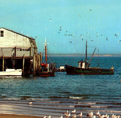 Vintage Postcard Gulls Fishing Boats Town Wharf Cape Cod Massachusetts MA