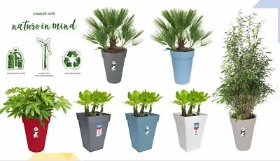 Elho Loft Flower Pots Planters Troughs - Round, Square Tall. Huge Choice!