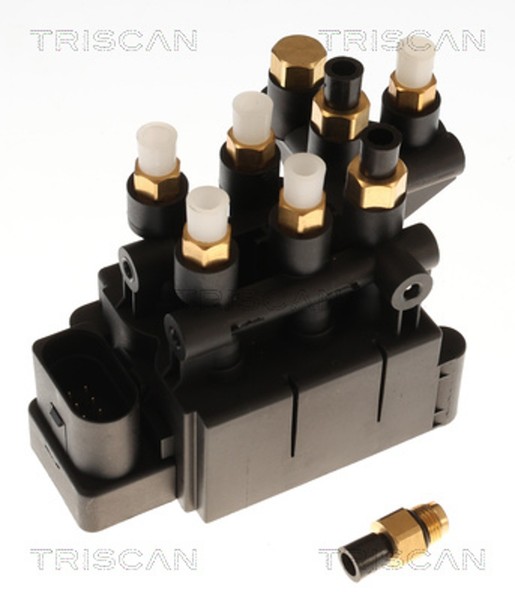 Triscan Kompressor Druckluftanlage 8725 29203 FüR VW Touareg CR7 RC8 Tfsi TDI Q7-image