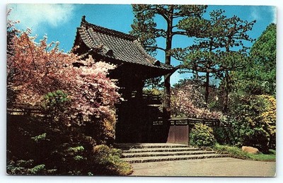 Postcard Postcard: San Francisco Oriental Tea Garden