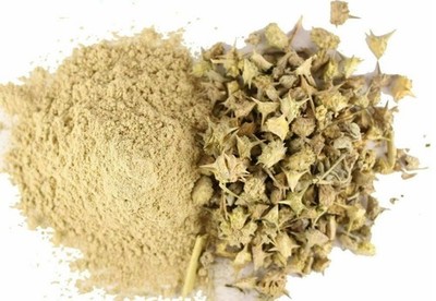 GOKHRU GOKSHURA Tribulus Terrestris POWDER Untreated 100% Pure & Natural