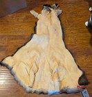 Sitka Blacktail Cape Tanned Grade-A Prime Nov  — photo 2