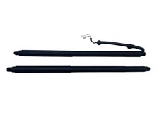 2024 Honda CR-V OEM Tailgate Liftgate Lift Motor Set (2)