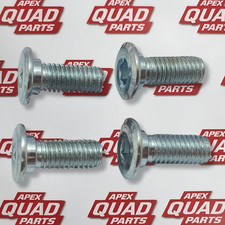 Yamaha Raptor 700 2006 - 2026   Disc Bolt X4