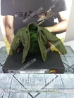 Hot Toys MMS206 G.I. Joe Colton 1/6 Figure's Green military jacket only! READ